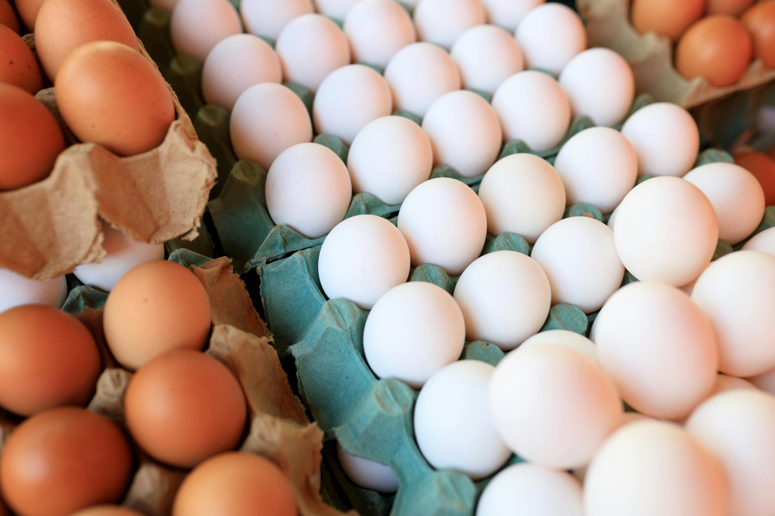 Diet seimbang adalah kunci utama bagi pria aktif